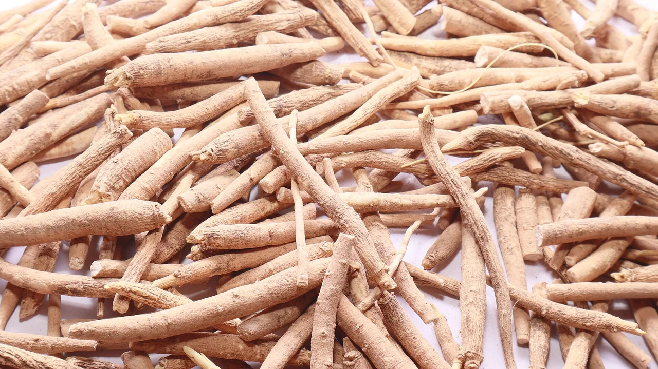 Racines d’ashwagandha — photo d’illustration