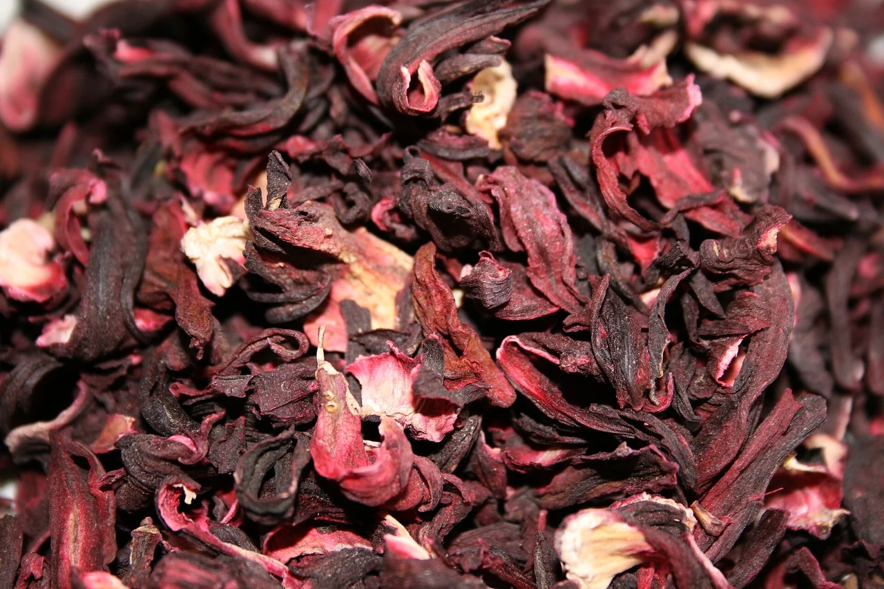 Hibiscus séché — photo d’illustration
