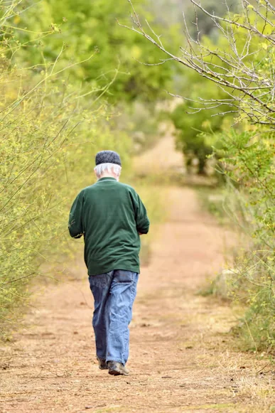 Marche sur un sentier boisé