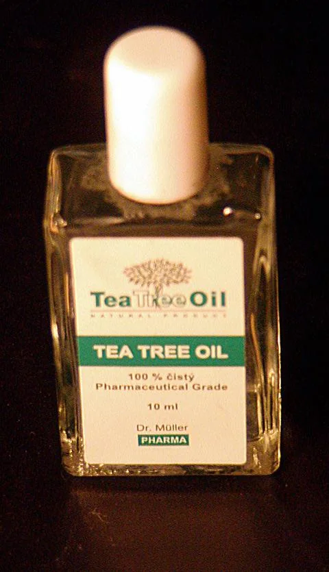 Flacon d’huile de tea tree : illustration, pas le conditionnement vendu — photo d’illustration