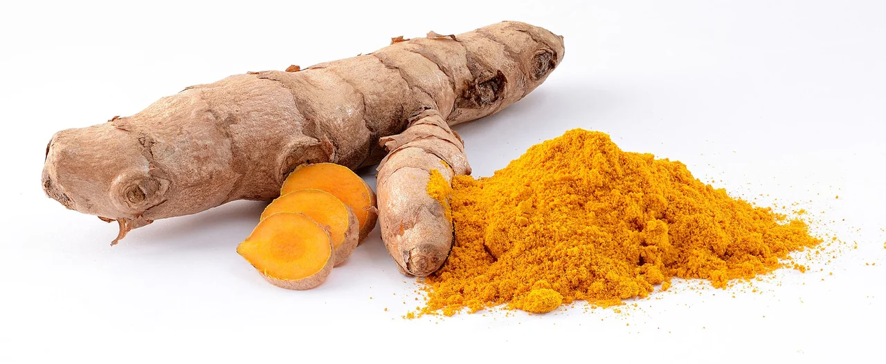 Rhizomes et poudre de curcuma — photo d’illustration